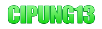 Logo CIPUNG13